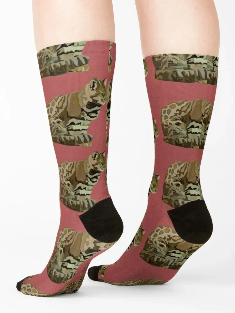 Calcetines de gato de montaña andina para hombres y mujeres, regalo divertido, marca de diseñador, nuevo