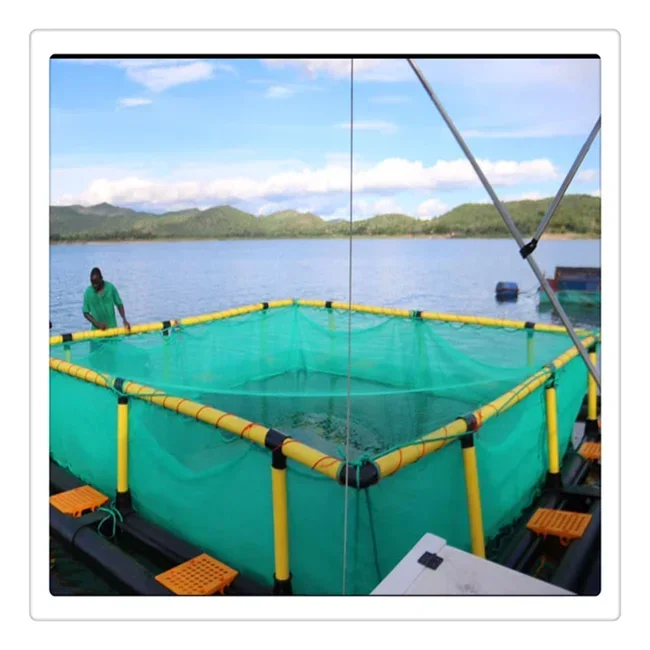 Fish farming water plastic aquaculture equipment floating net cages