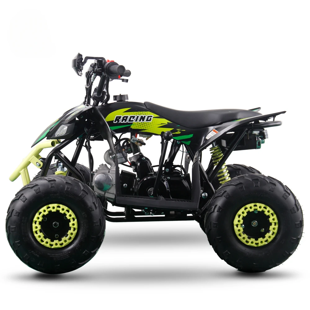 

110CC 4-stroke Gas ATV 4 Wheeler with 6inch Tire Quad Bike