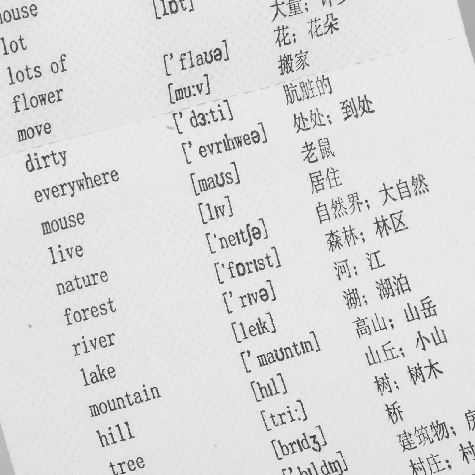 1 Roll English Word Toilet Paper Phonetic Symbols Fun Learning Bathroom Tissue For Kids Vocabulary Boost Creative Novelty Roll