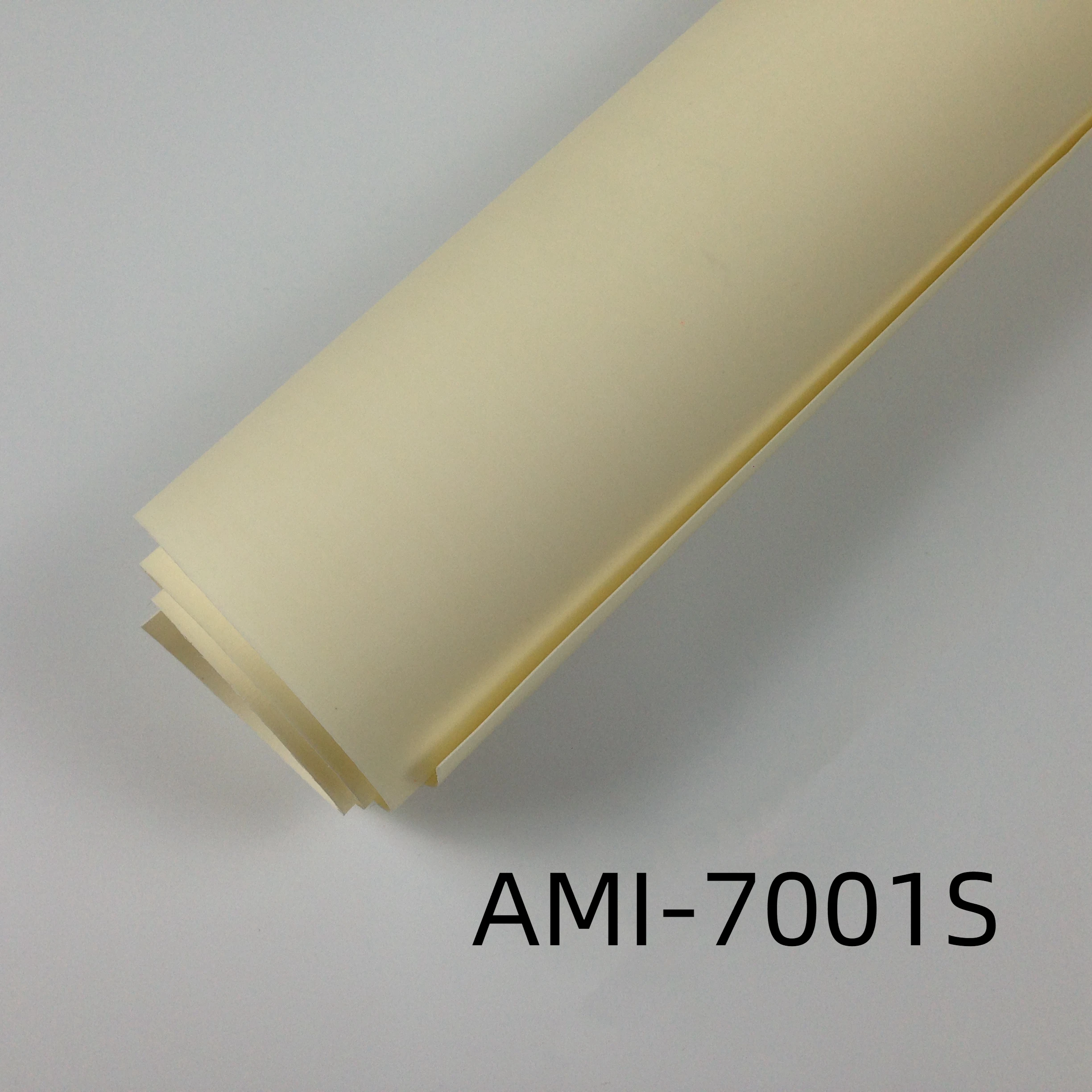 AMI-7001S Anion Exchange Membrane