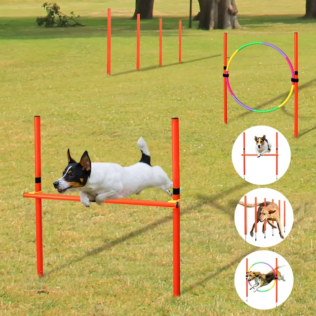 Dog Agility Training Obstacle Course Dog Agility Equipment Small Dogs Outdoor Dog Aliexpress