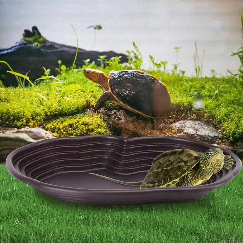 Schildpad Water Badbad Groot Reptiel Zwembad Met Afvoerpijp Rond Gat Ontwerp Amfibieën Dieren Schildpad Tank Kuip