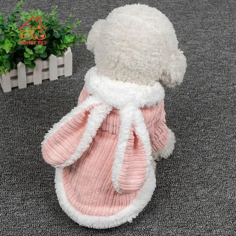 Small and Medium-sized Pet Clothing Cute Clothing Short Teddy Dog Cat Supplies Autumn and Winter Drop-shipping