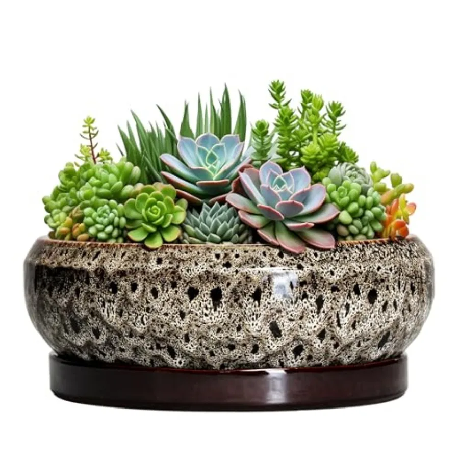 Succulent Pots - Ce…