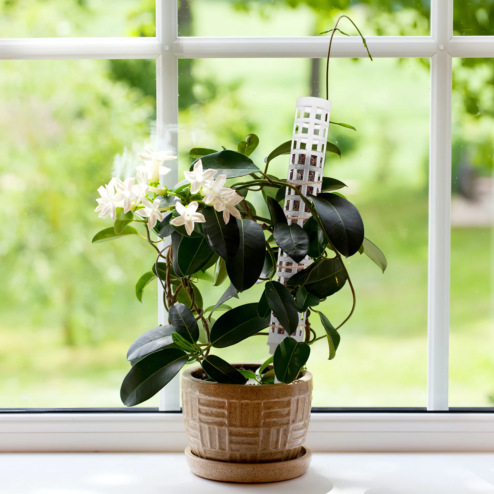 

6 pcs Moss Poles For Plants Climbing Plants Monstera Stackable Plant Supports Plastic PE Plastic Moss Pole Stackable Reusable