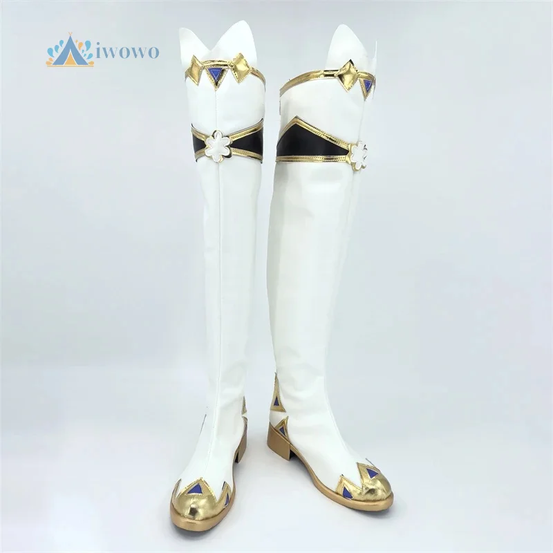 

Tenma Tsukasa Обувь для косплея Сапоги на заказ