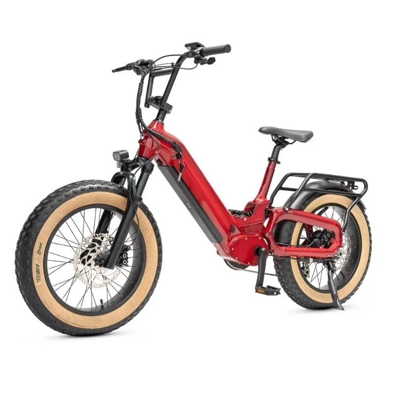 BR 750W Fat Bike Electric Fat Tire Super Ebike Full Suspension