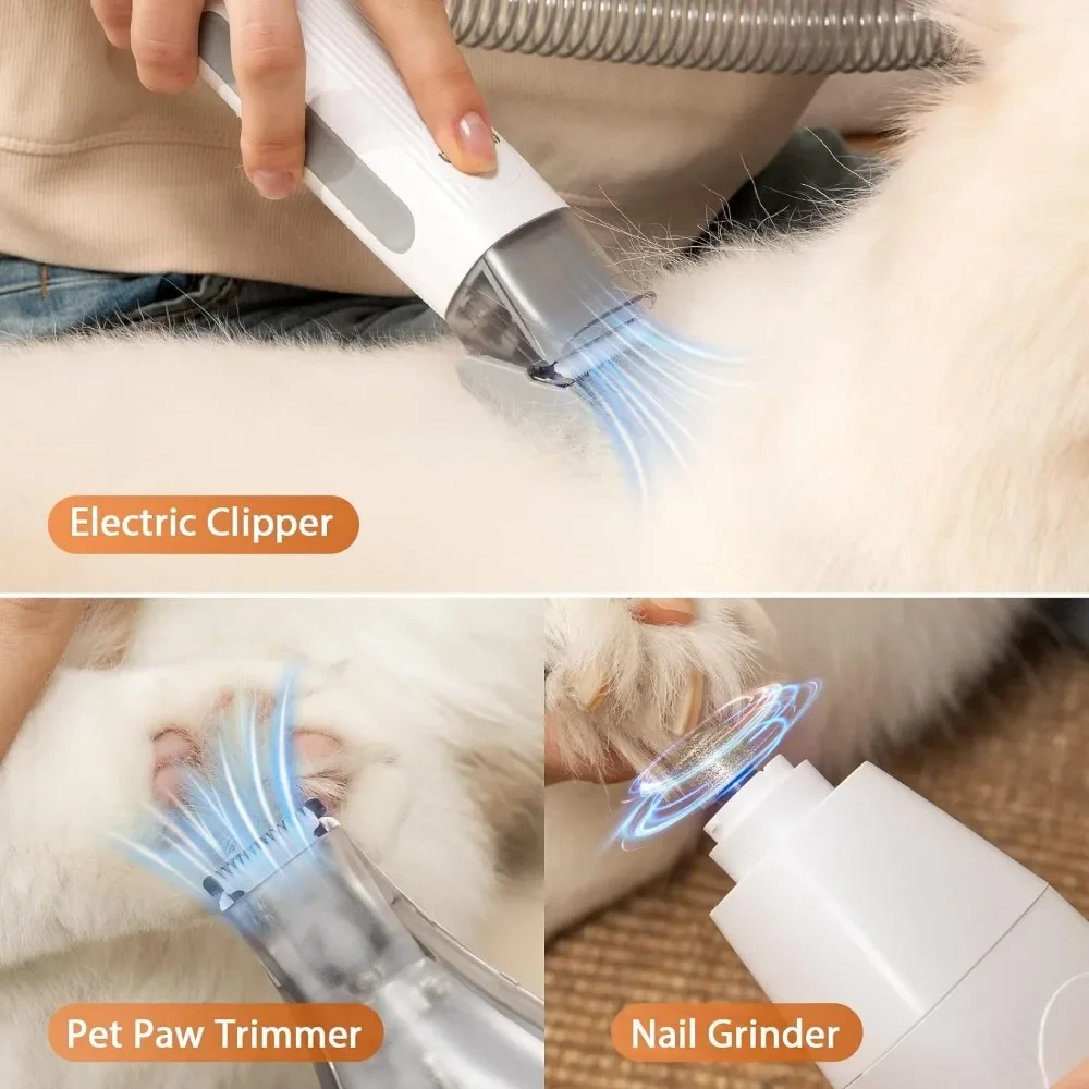 Imagem -04 - Pet Grooming Vacuum e Dog Clippers Nail Trimmer Grinder Dog Brush For Shedding Puppy Hair Dryer Ferramentas