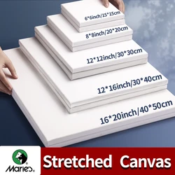 Marie's 3 Pack Stretched Canvas with 6x6