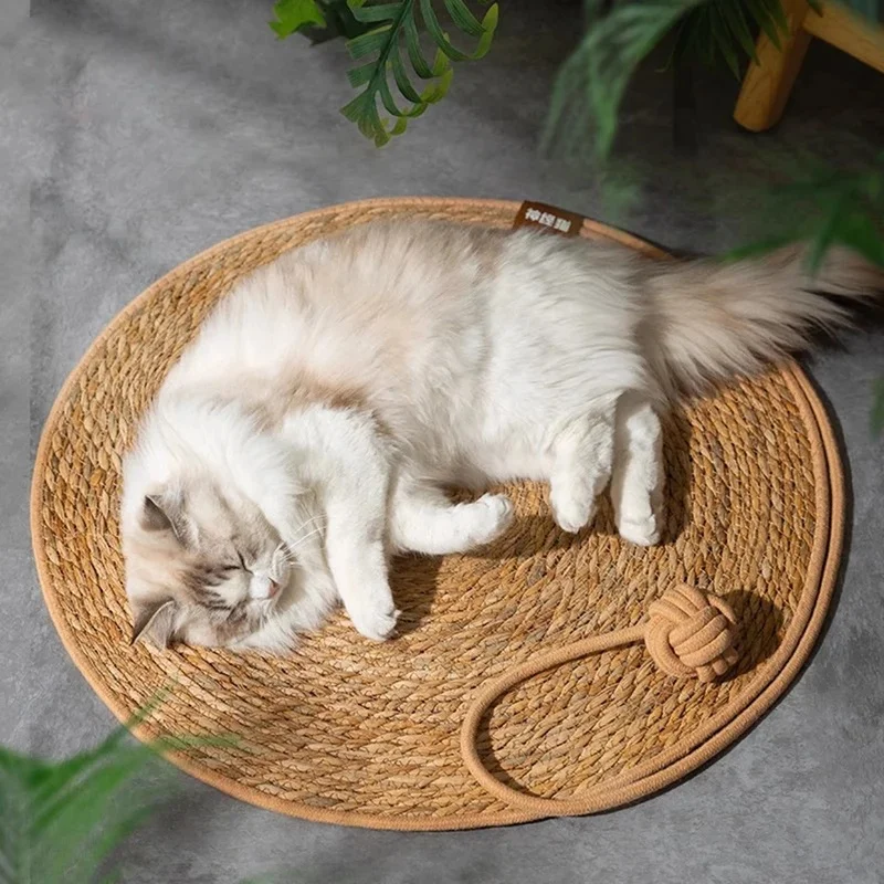 Thumbnail 4 - #8 Cat Furniture Comparison Guide