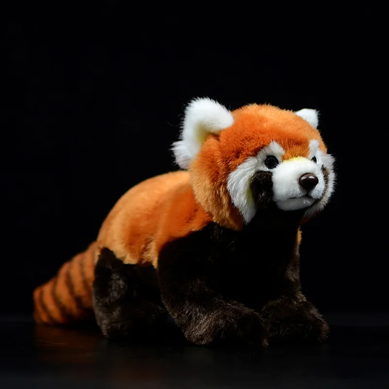 Śliczne lalki imitacja czerwona Panda Ailurus Fulgens Panda mała miękka zwierzęta Kawaii wypchane pluszowe zabawki dla chłopców kolekcja prezentów
