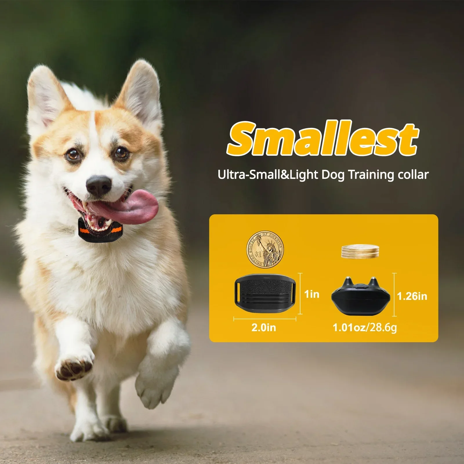 

New Upgraded Smallest Lightest Training Collar for Small Dogs 5-15Lbs, 800M Color Screen Remote Control Mini Dog Training Device