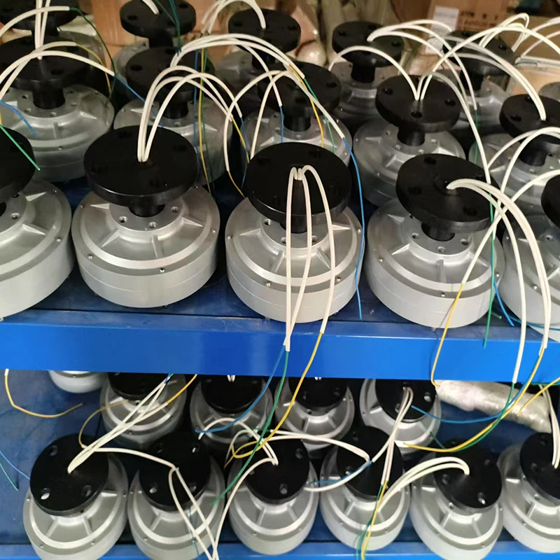EU CE Certificated Permanent Magnet Generator Wind Generator 300RPM 12V 24V 48V AC Coreless Three Phase Low Starting Torque