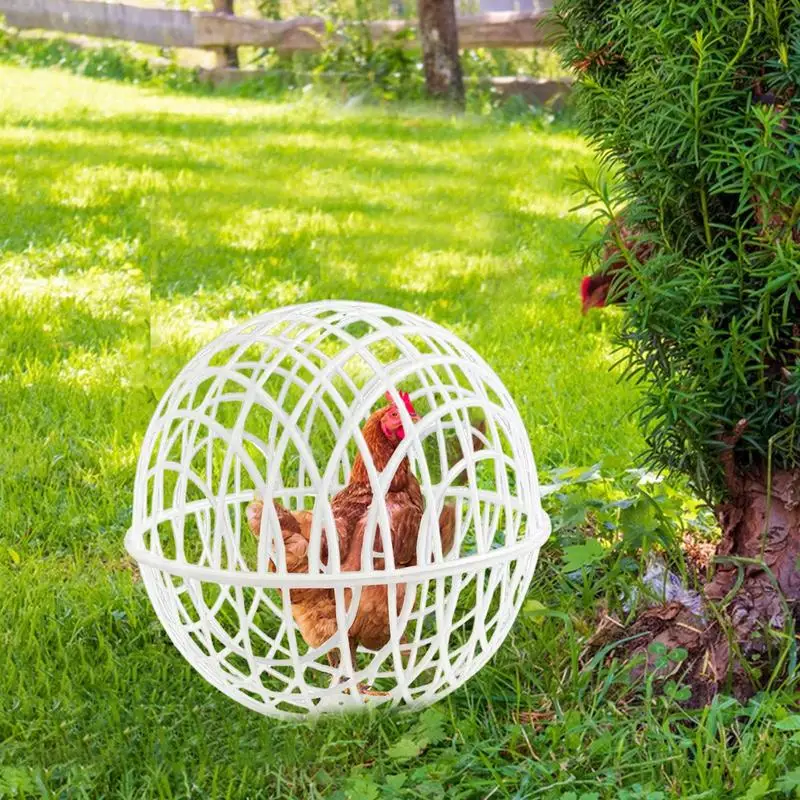 Ball Cage For Chickens Movable 3 Pieces Chicken Orb Ball Cage Pet Safety Chicken Cage Ball-Shaped Chicken Hamster Ball Cage Safe