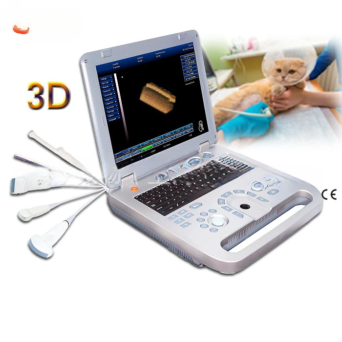 

Portable color ultrasound machine for veterinary use, color ultrasound diagnostic instrument