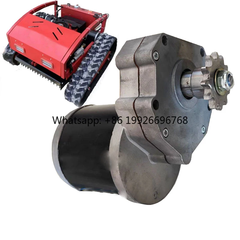 Electric DC 24V 12V 600W DC Motor Lawnmower Gear DC Motor