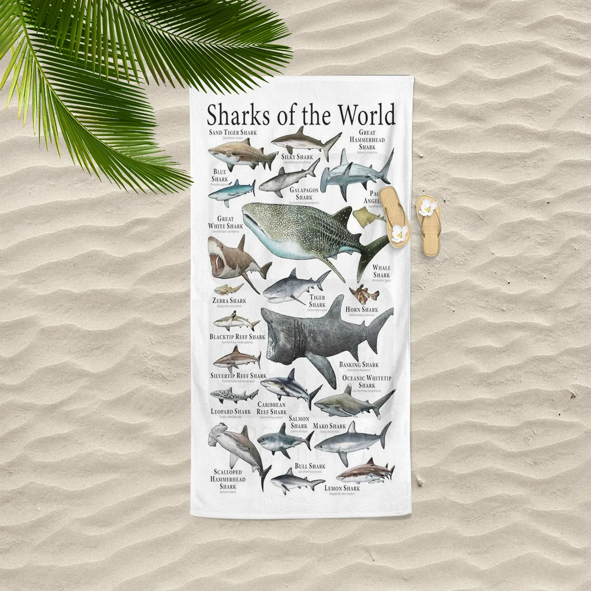 Ocean Animals Thin Lightweight Beach Towel Quick Dry Absorbent Compact Towels For Swimming Pool Camping Beach Accessories