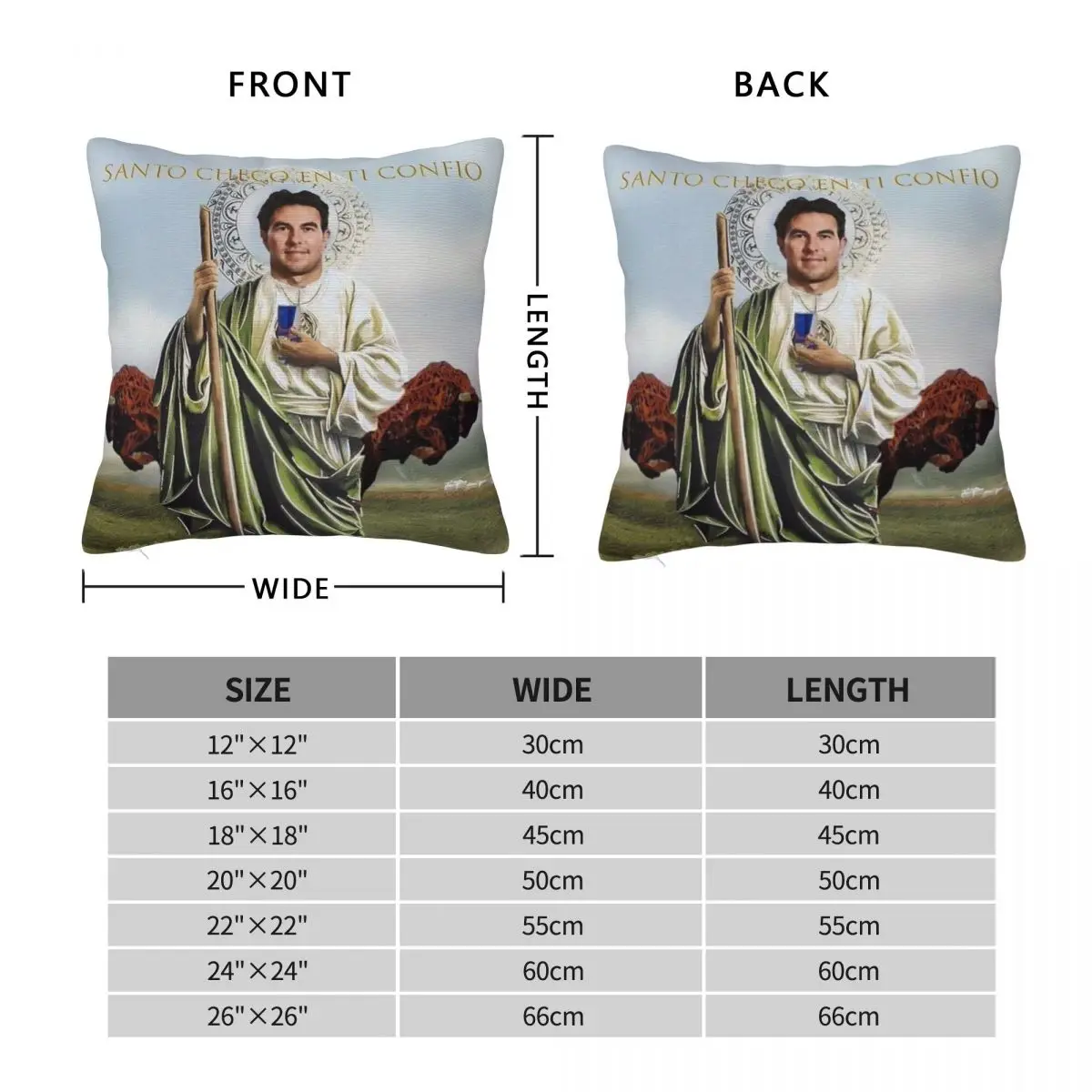 Sergio Perez Checo Of The Tyres Square Pillowcase Polyester Linen Velvet Creative Zip Decor Throw Pillow Case Sofa Cushion Cover