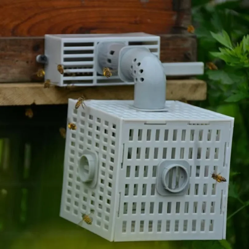 Bee Hive Tool Automatic Bee Divider Prevent Escaping Bees Remove Male Bee Beekeeper Tools Beehive Accessories 1Pc