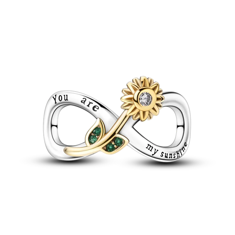 Silver Plated Chameleon Charms Bead Colorful Sketchpad Dangle Zirconium Clip Bangle Bracelet Necklace DIY Jewelry Marking