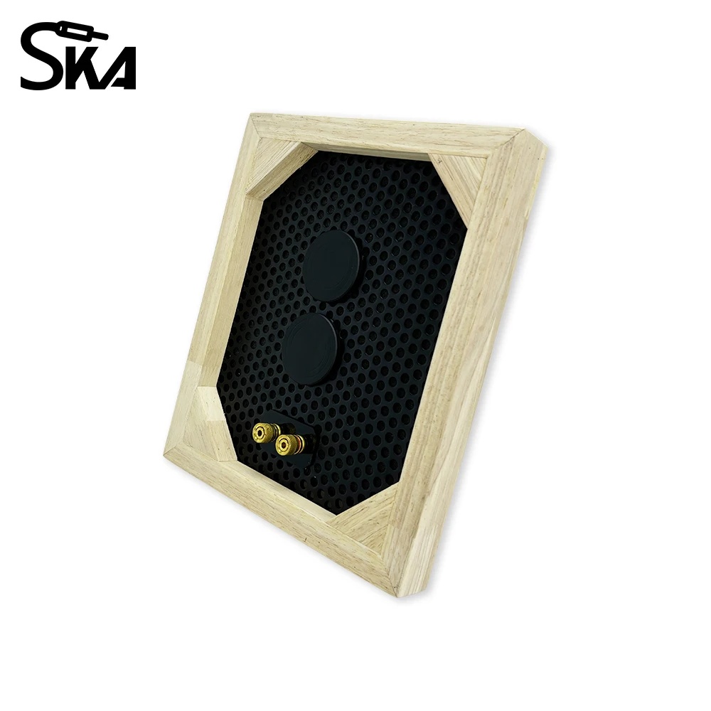 20W Invisible Indoor Speaker Rectangle Full Range Audio Loudspeaker Home Background Music Player for Living Room Bedroom Kitchen