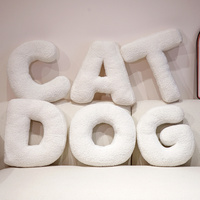 40CM Cartoon English Letters Plush Pillow Sofa Cushion Bed Throw Pillows Teaching Words Game Living Room Decoration