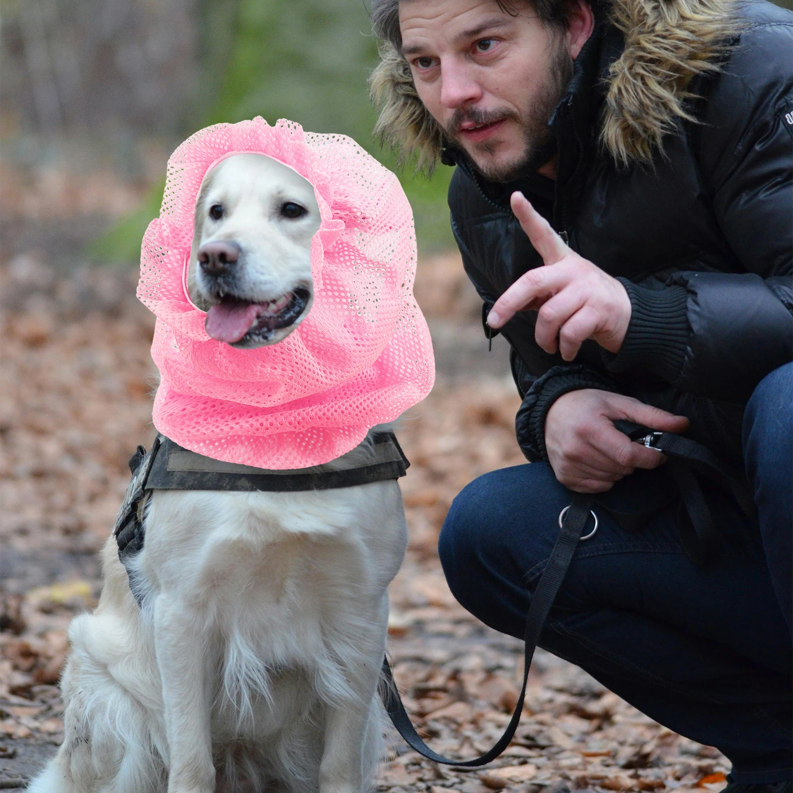 

Pet Mosquito-repellent Sleeves Dog Snood Cover Breathable Puppy Net Summer Ear Guard Long Ear Coverage Elastic Band Safe