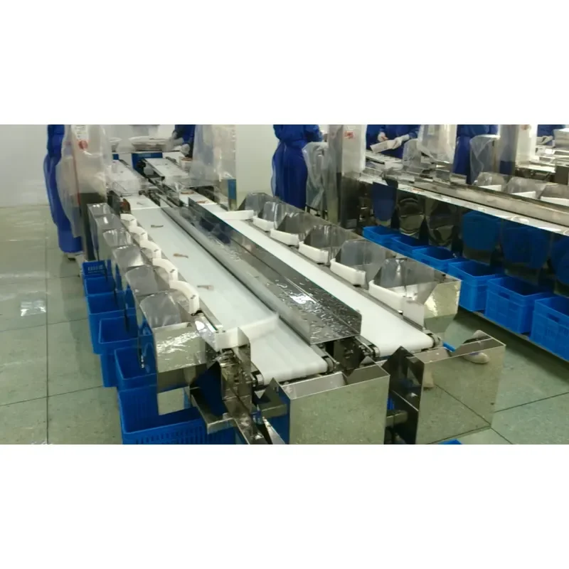 CW-220 Custom High Speed and High Precision Digital Sorting Weighing Scale Automatic Checkweigher Weight Sorter Machine