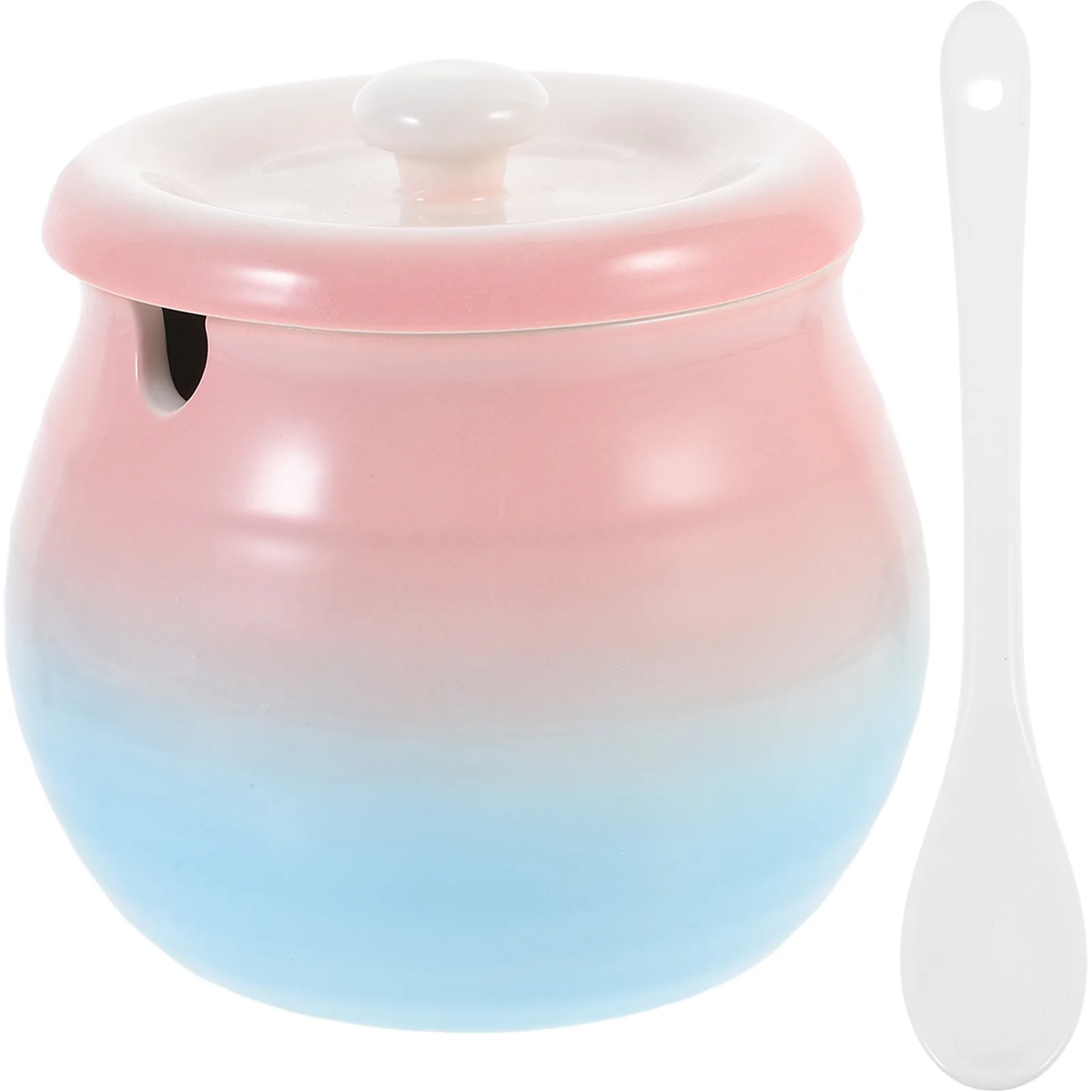 Ceramic Spice Jar with Lid for Kitchen Storage Salt Sugar Tea Chili Powder Curry Seasoning Ceramic Food Storage Canister