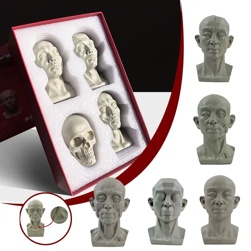 Art Plaster Portrait Teaching Aids Simulation Flat Plaster Tool Practical Sketch Head Resin Mini Version Portrait Learning A9P7