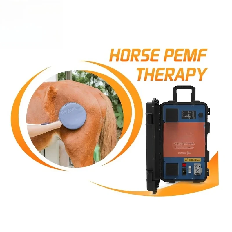 Portable Physio Magneto Horse Equipment Effective Magnetic Therapy hine for Horses Rising Pefore