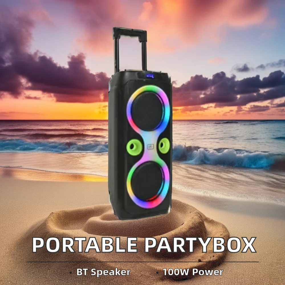 

Portable Partybox Multimedia Speakers 2*10 Inch Bass RGB LED Lighting USB TWS Metal Plastic Microphone Battery