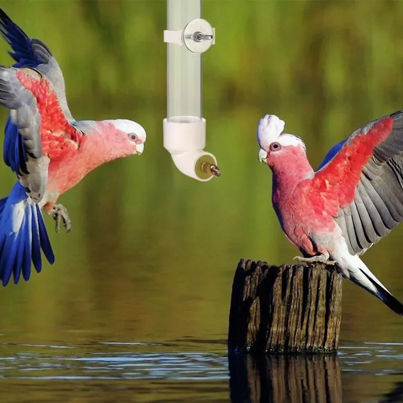 Thumbnail 3 - #21 Hamster Water Bottle Feeders Comparison Guide