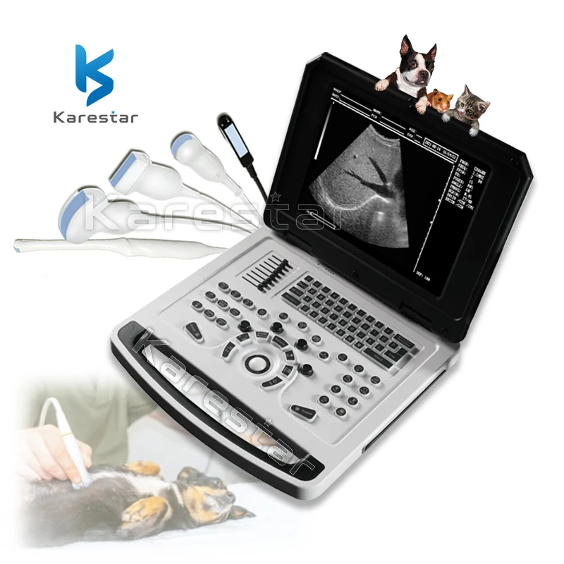 Hochwertiges Medizinisches Diagnostik-Ultraschallgerät für Tiere Tragbares Laptop-Ultraschallgerät