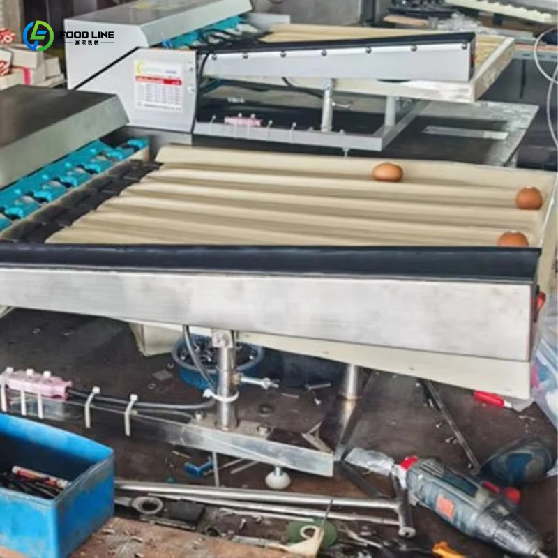 Stainless Steel Automatic Egg Grading Sorter Machine 2000 Eggs/H Digital Scale Food Grade Custom for Poultry Farm