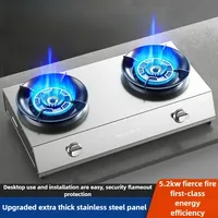 Gas stove double stove household fire desktop double head natural liquefied gas binocular gas stove energy-saving stove