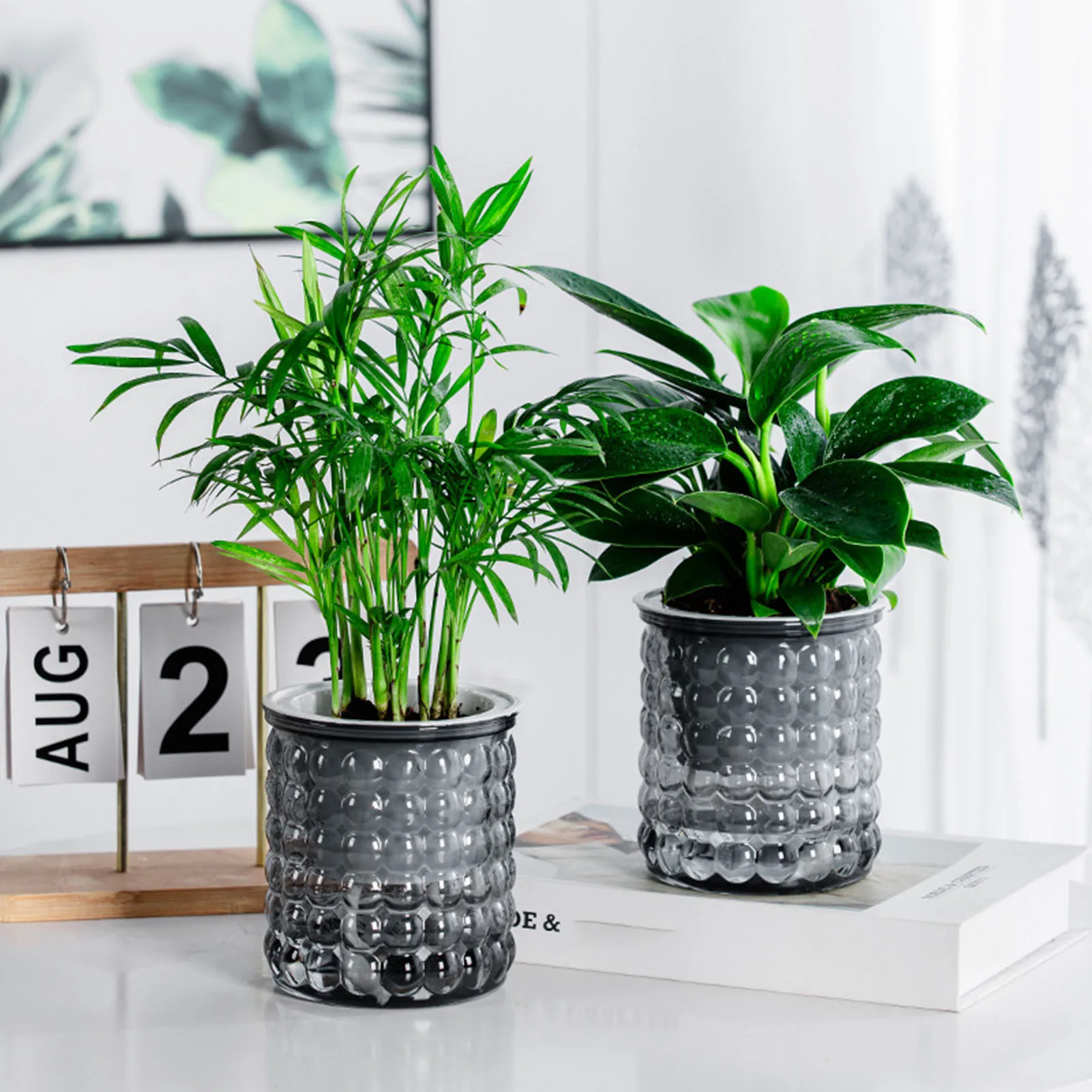 Nuevo Maceta de plantas hidropónicas de autorriego, macetero suculento de plástico, florero de mesa, decoración de bonsái para el hogar y la Oficina, maceta decorativa