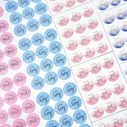 120pcs Team Boy Team Girl Stickers Baby Shower Boy or Girl Sticker Gender Reveal Party Decorations DIY Gift Box Label Supplies