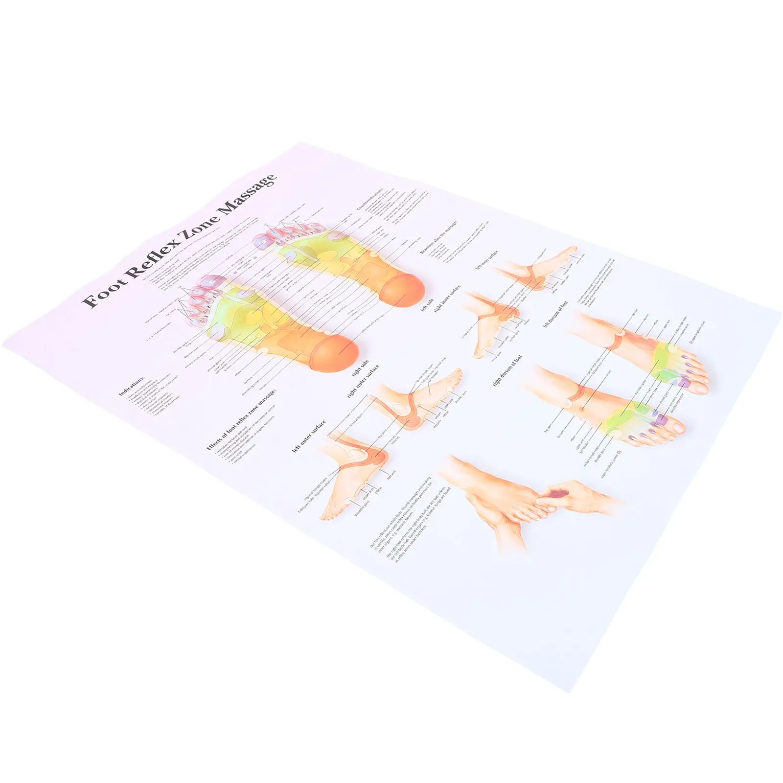 Foot Reflexology Chart Poster 38x40cm Material Massage Knowledge Wall Home Office Decor