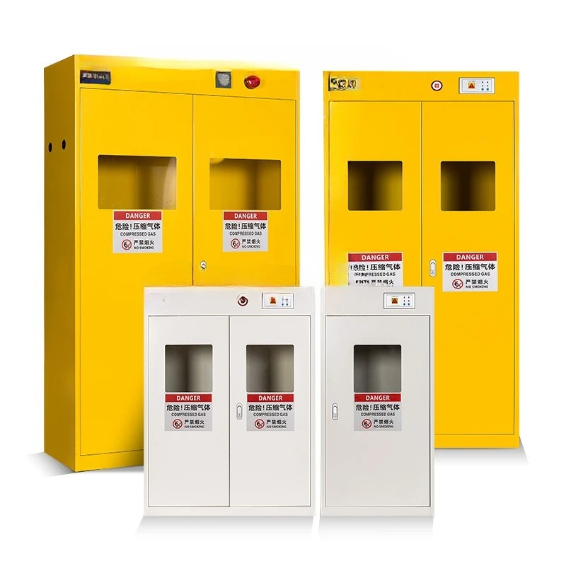 

Steel gas cylinder cabinet safety cabinet, industrial laboratory explosion-proof cabinet, intelligent gas storage cabinet, indu