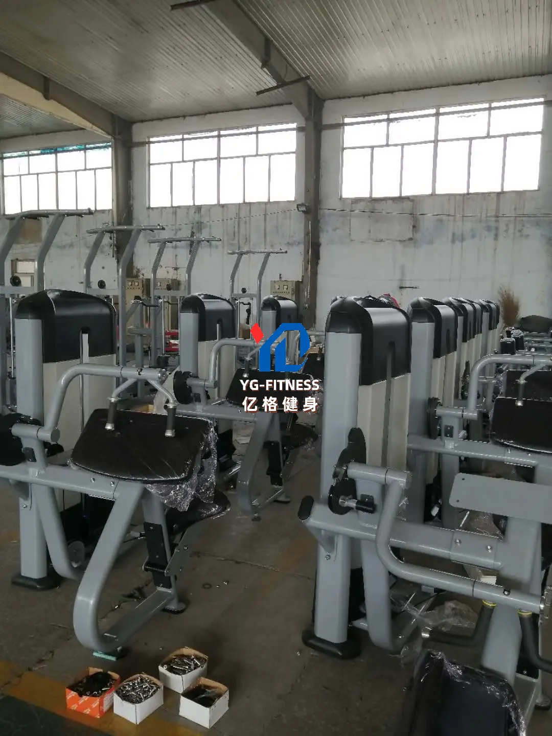 6019 Commercial Dual Function Strength Equipment Triceps Curl Fitness Gym Biceps for Club