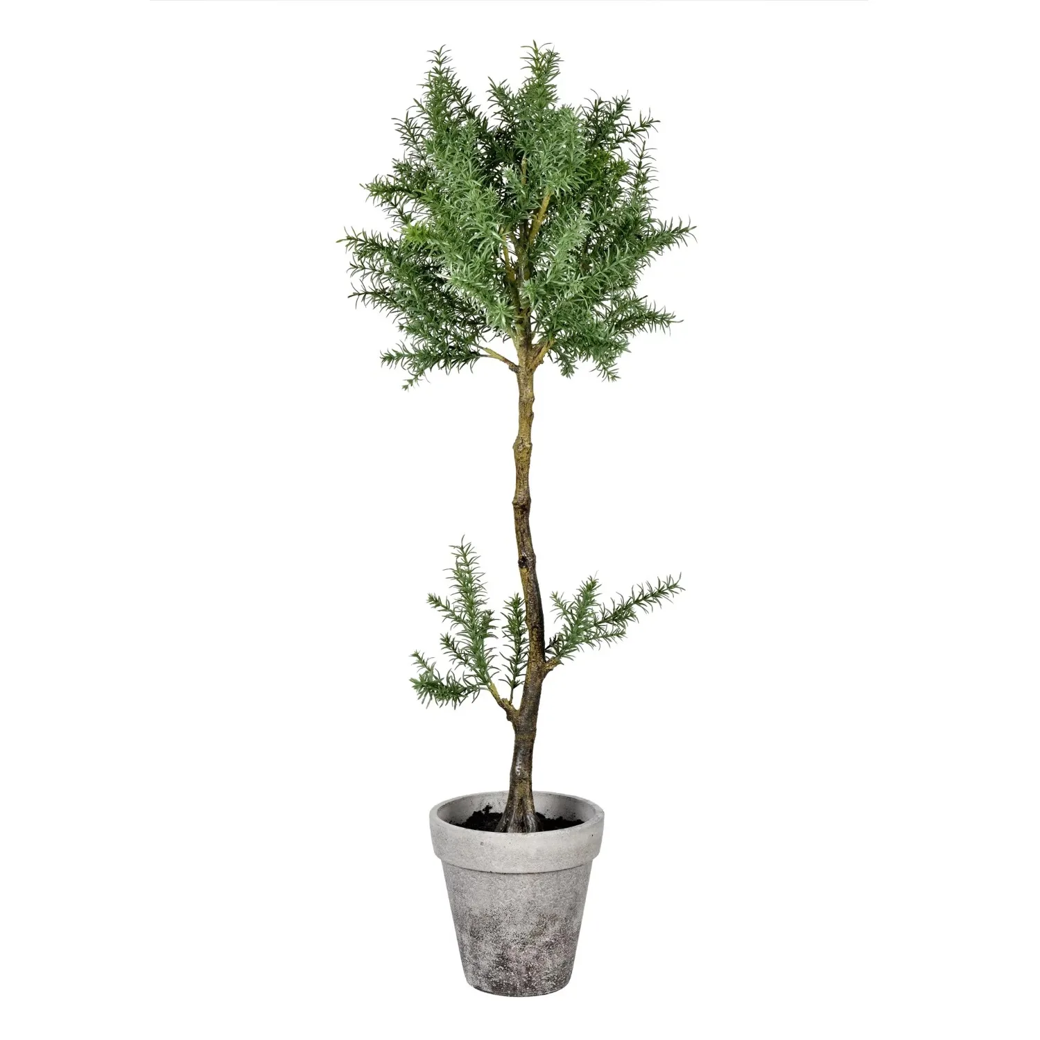 

44 дюймовая искусственная растительность в горшке.