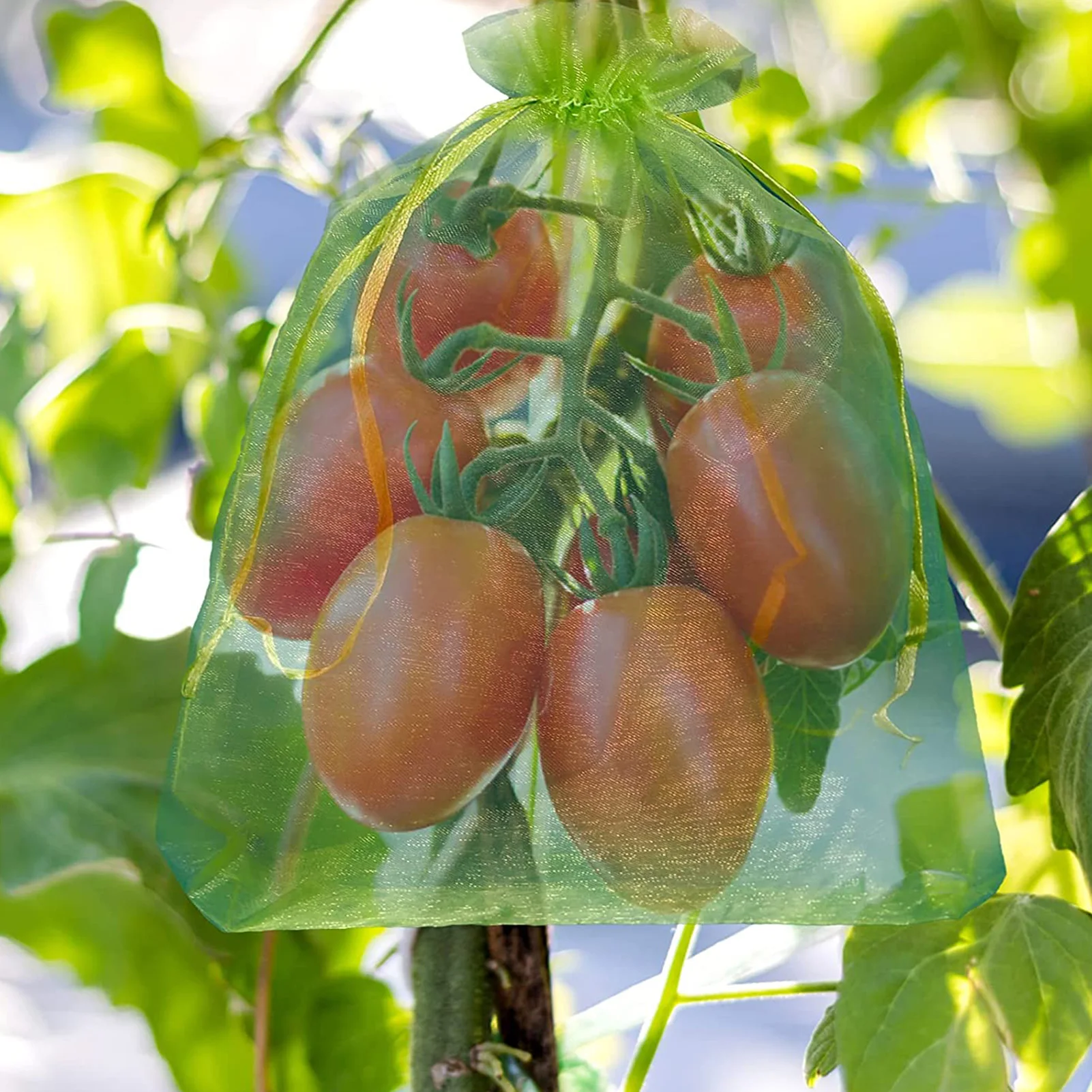 Sac de culture de fruits et légumes de jardin, sacs de Protection pour plantes, filet à cordon Anti-oiseau de jardinage, pochette en maille pour bonbons, raisins et pommes, 50 pièces