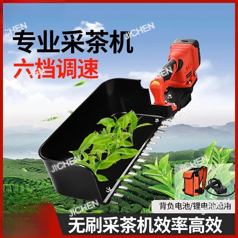 Jc Electric Tea Pic…