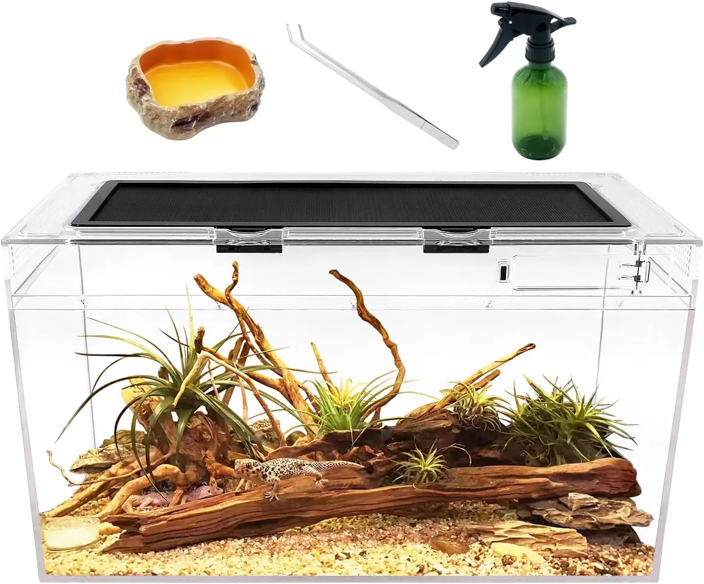 

10 Gallon Reptile Terrarium Tank 20x10x11 Inch for Lizards, Spiders, Crabs and More