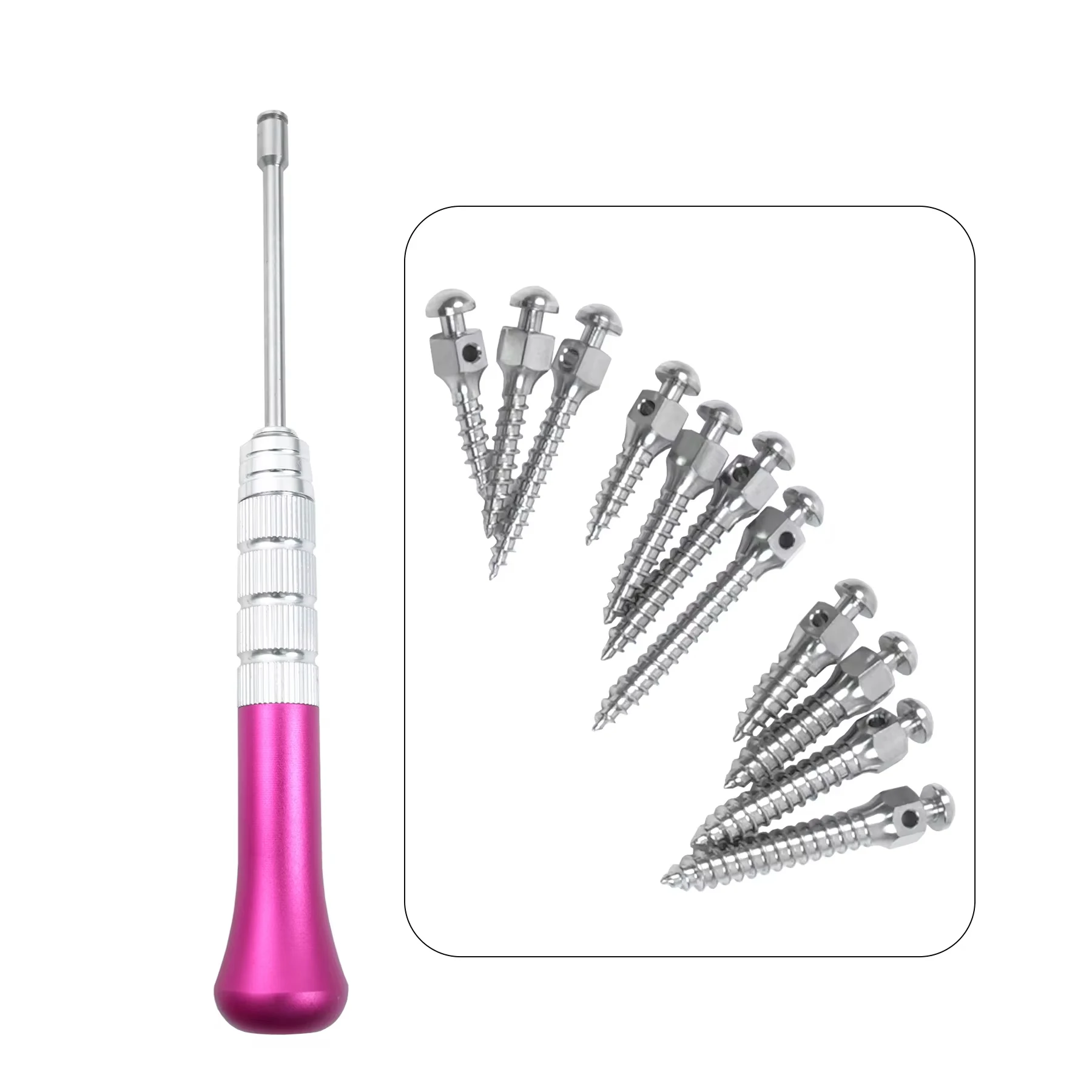 

Dental Orthodontic Spikes Oral Basic Instrumentation Tools Dental Mini Screws Screwdriver Matching Tool Dentist Material