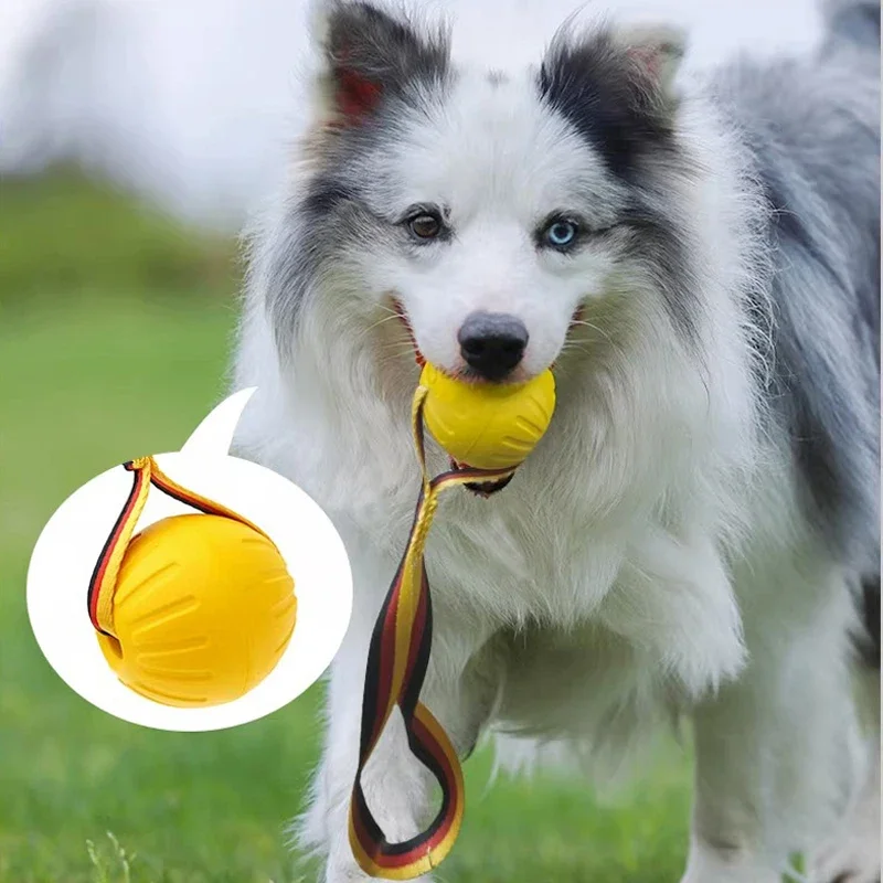 New EVA Pet Products Dog Training Toy Pull Ring Training Flying Discs Rope Elastic Ball Tooth Grinder Molar for Pet