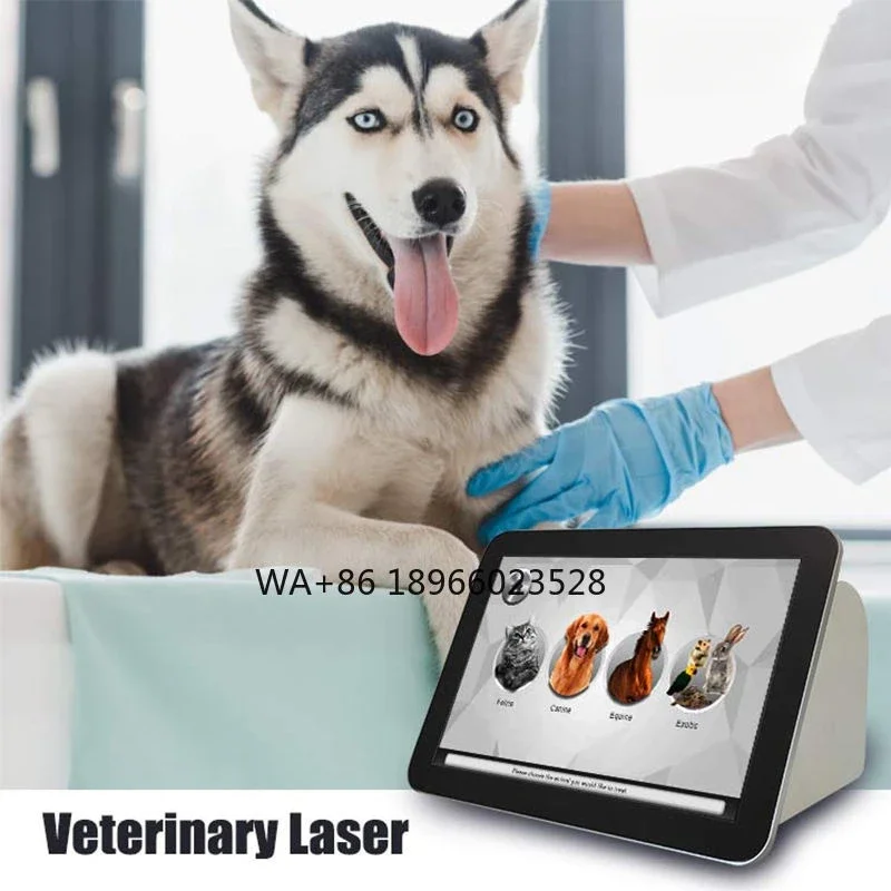 for Dog Cat pet clinic  Vet  Care  Veterinary  veterinary  animal Factory price Touch Screen  Therapy