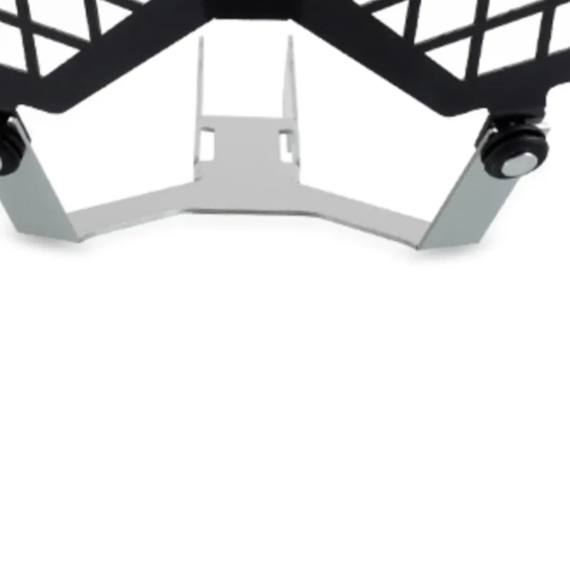 

Защитная решетка для передней фары из нержавеющей стали для HONDA CRF1100L AFRICA TWIN STD, аксессуары для мотоциклов 2019-2021 гг.